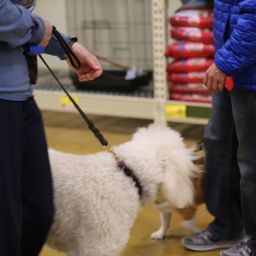 photograph by PeterW